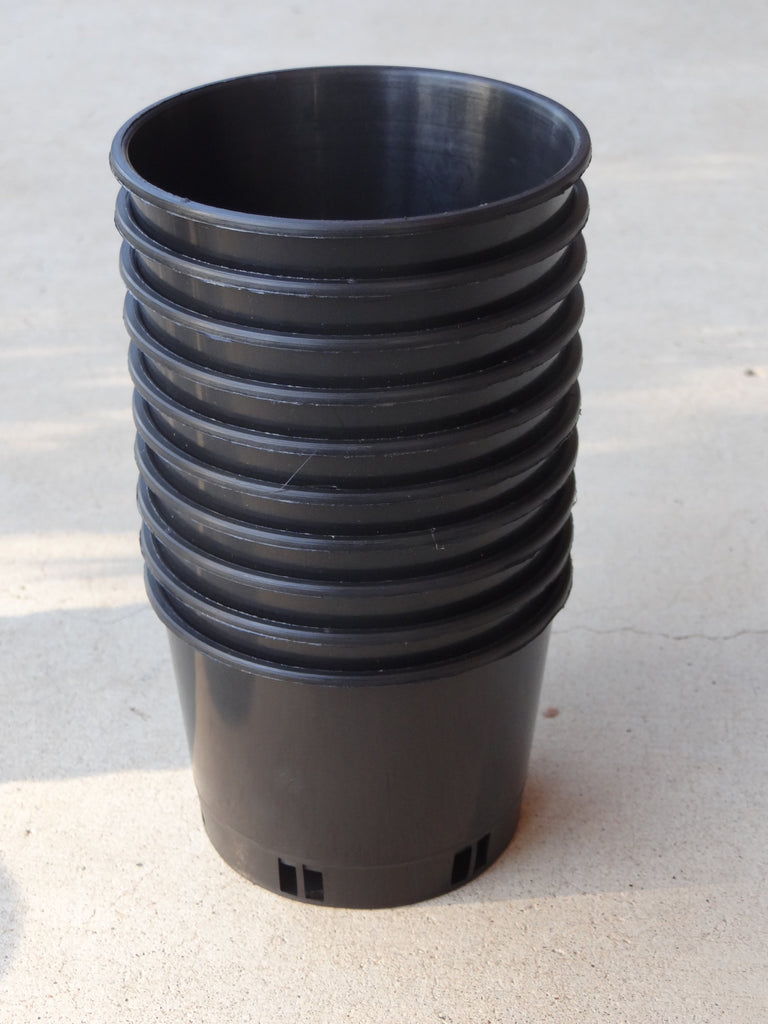 Squat orchid port pots 10 x 100mm Kingfisher Orchid Nursery