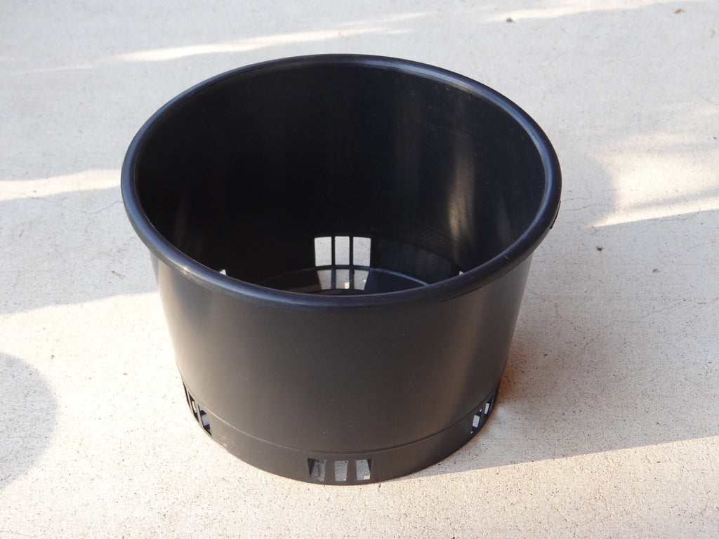 Squat orchid port pot 150mm Kingfisher Orchid Nursery