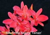 Rth. Smile Beauty 'Tainan'