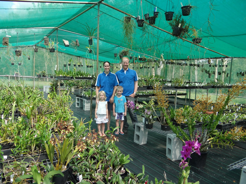 Welcome to Kingfisher Orchid Nursery.